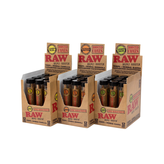 RAW Rocket Booster Cones - Assorted Flavors - 12ct